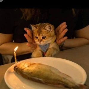 Meet your Posher, Eli